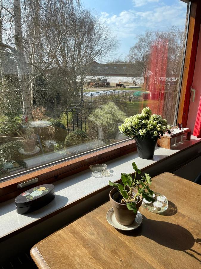 Apartament Retro Bolig - Fyldt Med Hygge! Ingen Luksus Kolind Zewnętrze zdjęcie
