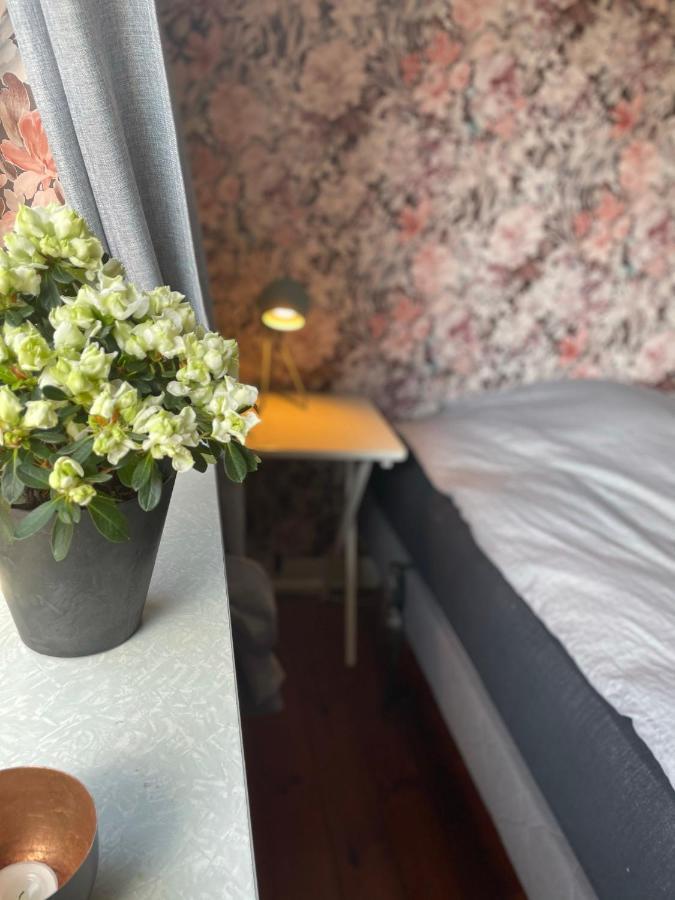 Apartament Retro Bolig - Fyldt Med Hygge! Ingen Luksus Kolind Zewnętrze zdjęcie